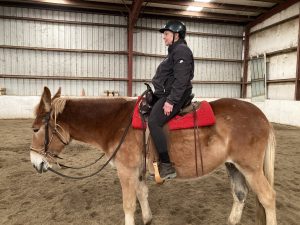 Martha and Susie saddle fitting process Maine USA
