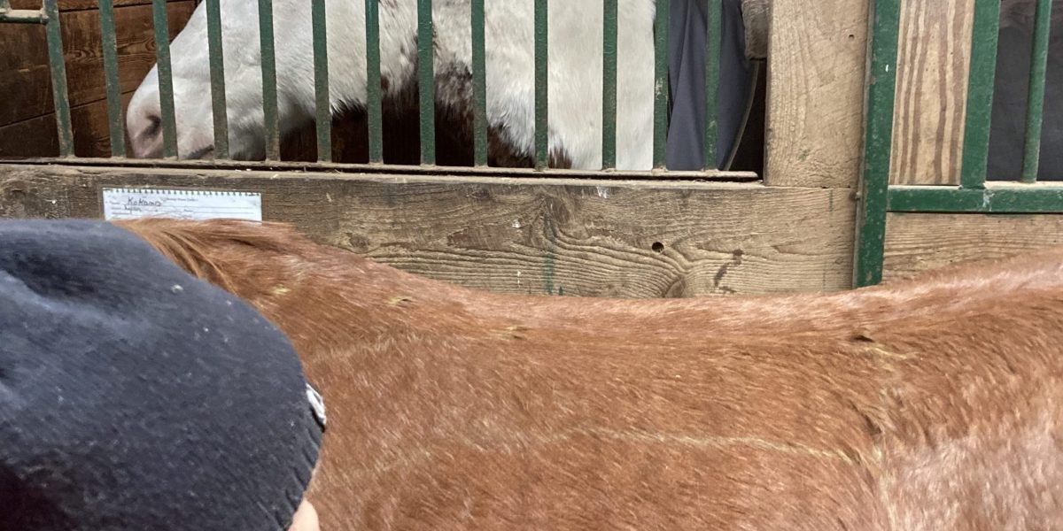 30 Day Top Line Challenge