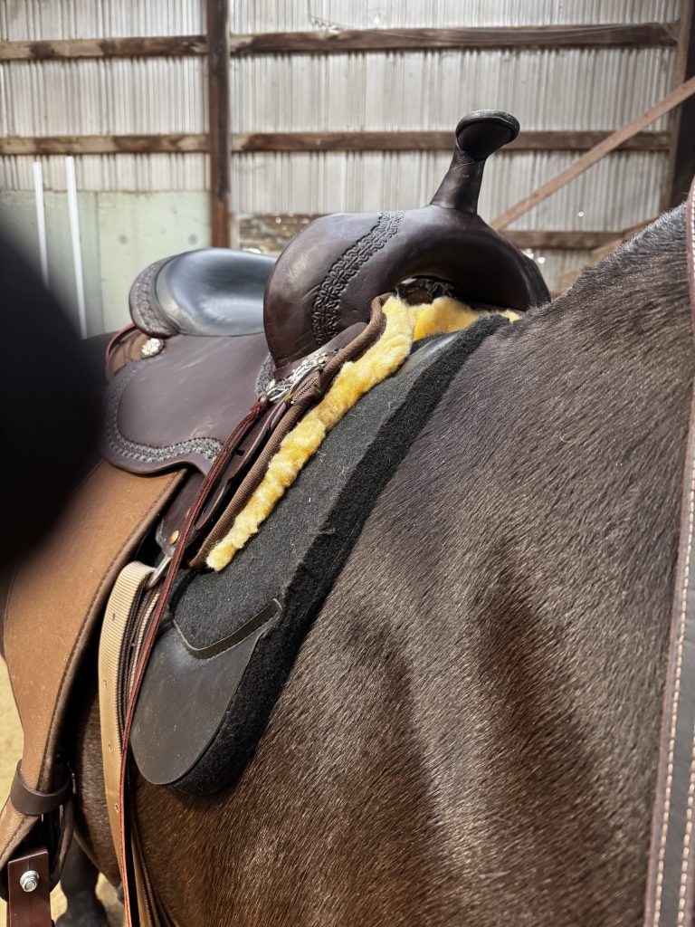 Pads and shims will sometimes come into play when it comes to fitting a western saddle