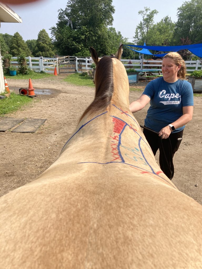 Mapping and tracing are only a few things I do. I also will teach these to clubs, groups and do demonstrations.