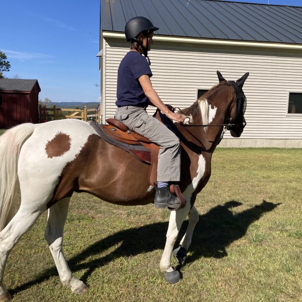 Benefits of Saddle Fitting