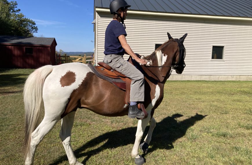 Benefits of Saddle Fitting