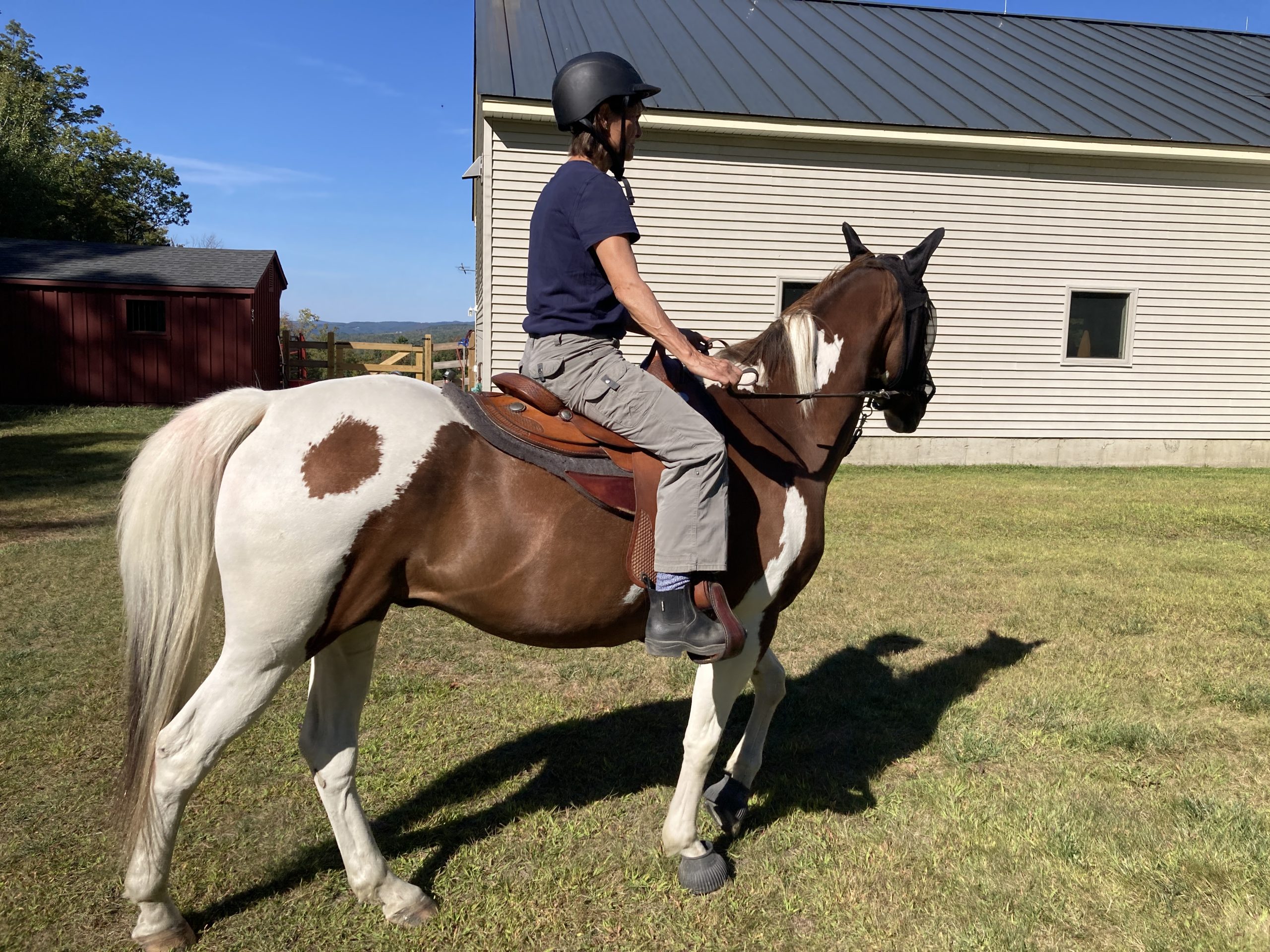 Benefits of Saddle Fitting