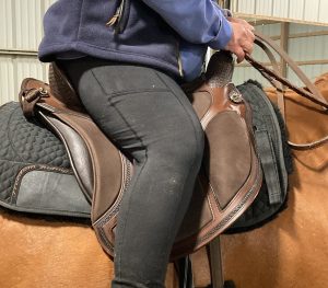 Teaming up with DP saddle to find the right western saddle for owner with physical challenges and a short backed, downhill, older quarter horse. 
