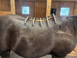 Using a back gauge to help identify what the shape of the back is and then compare it to the INSIDE of the saddle. 